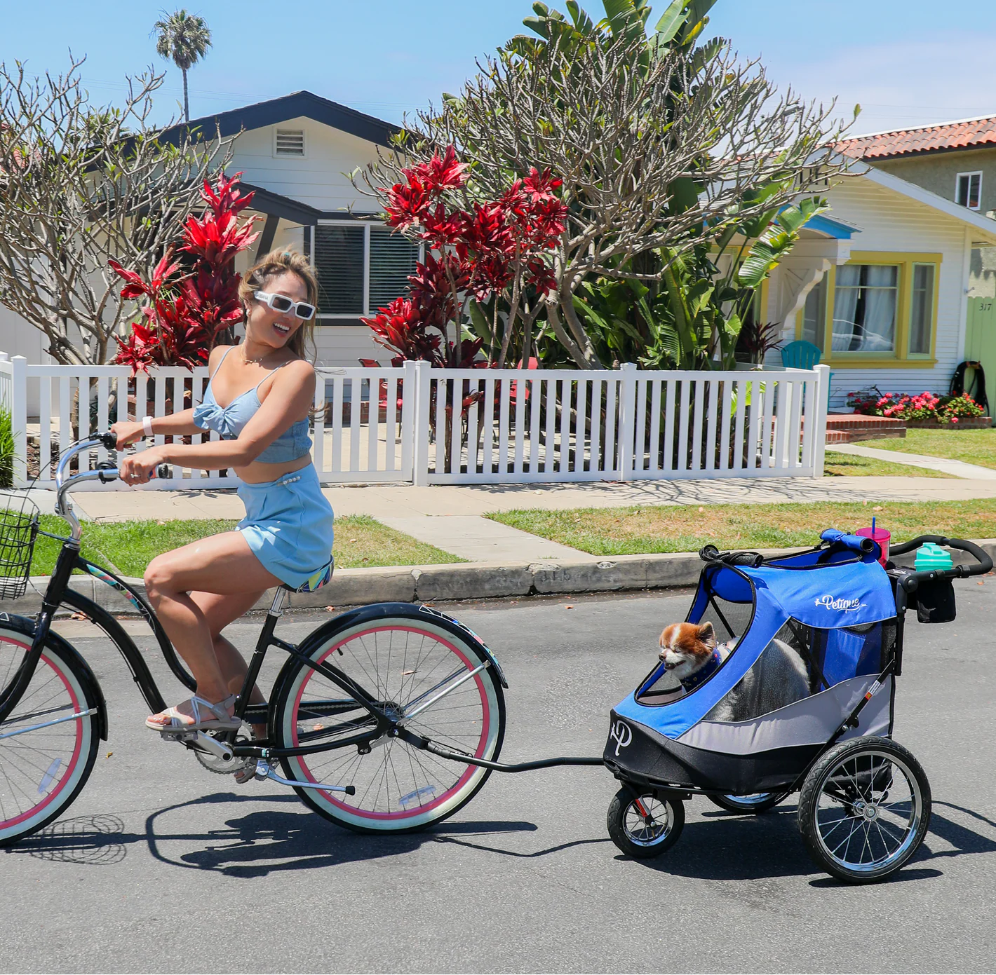 3-IN-1 TRAILBLAZER PET JOGGER