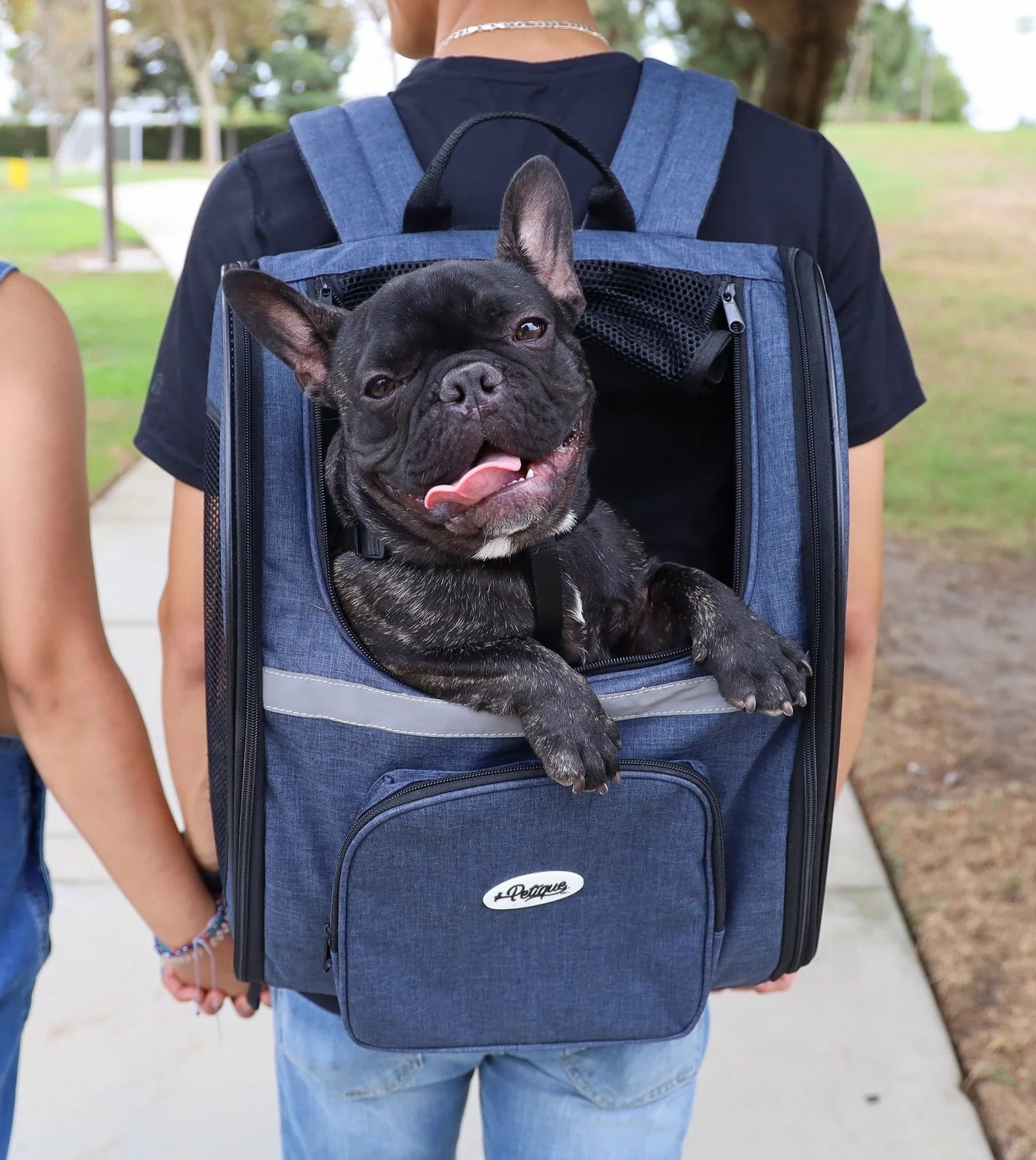 THE BACKPACKER PET CARRIER