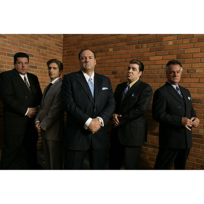 The Sopranos: The Complete Series [30 - Disc DVD Collection]£¨Crime Drama, TV Series, Compatible with All Region DVD Players£©