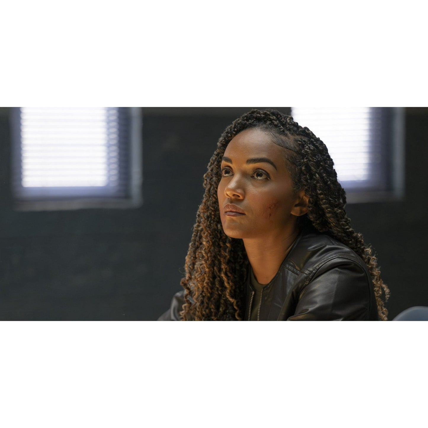 THE ROOKIE, The Complete series, Seasons 1-7 [DVD][25 Discs] (Crime, Drama, Action, Police Procedural, Compatible with All DVD Players)