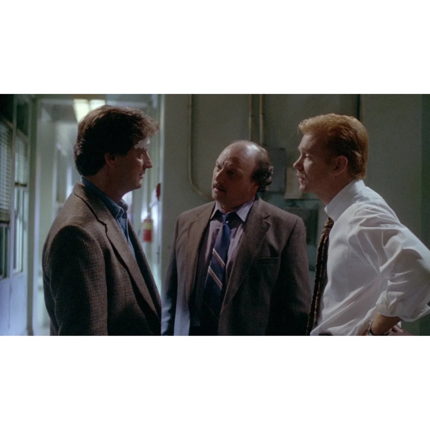 NYPD Blue Season 1-12 The Complete Series [DVD][63-Discs] (Drama/Crime, Compatible with all DVD players)