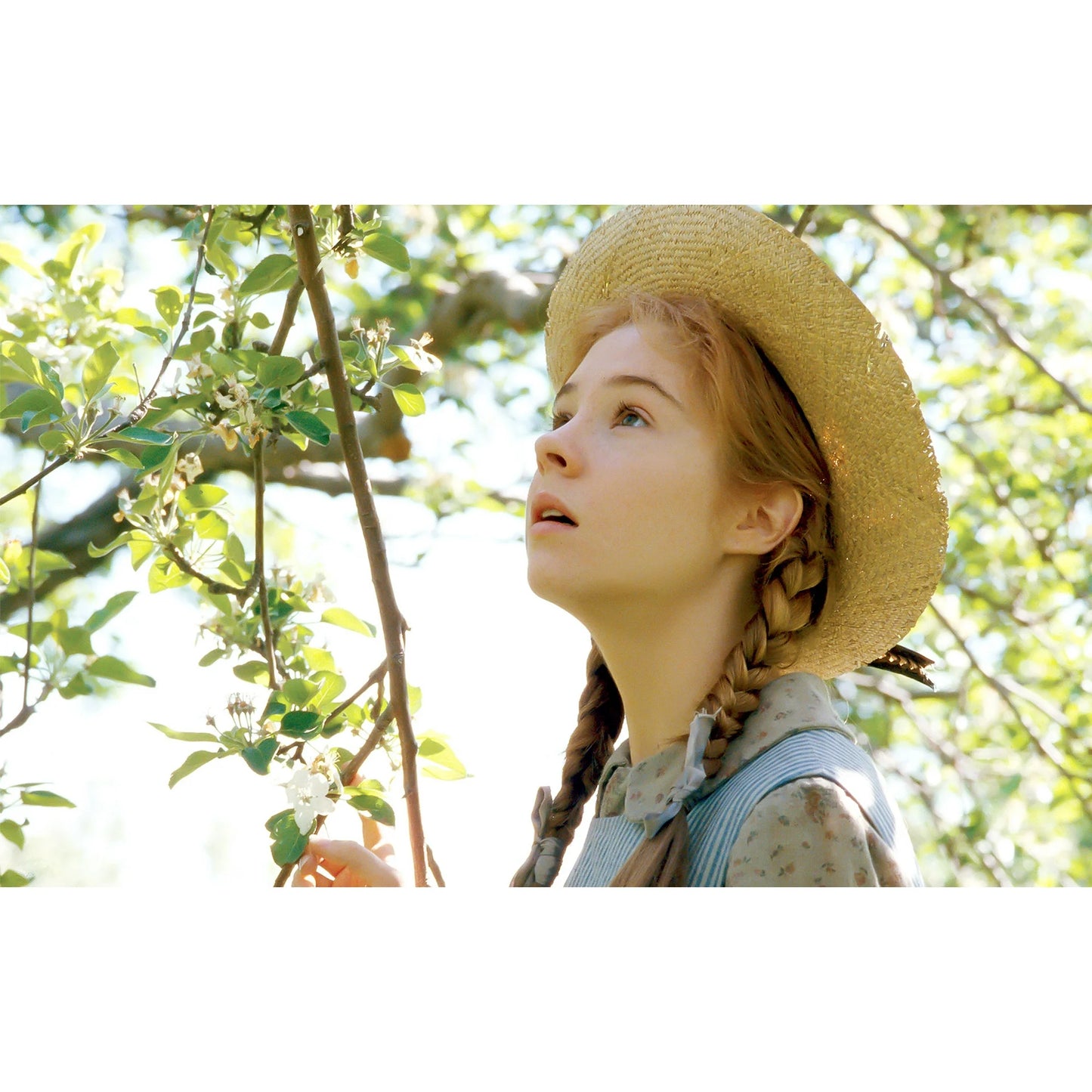 Anne of Green Gables [DVD][3 Discs,Drama,Family,Compatible With All DVD Players]