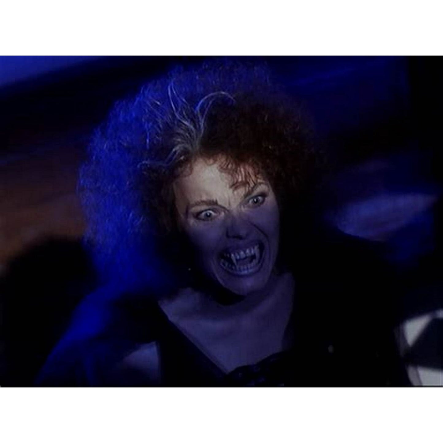 TALES FROM THE CRYPT THE COMPLETE SERIES [DVD]1-7[20-Discs] (Horror/Thriller, Compatible with all DVD players)