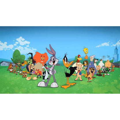 The Looney Tunes Show [DVD][24-Discs] (Animation/Comedy, Compatible with All DVD Players)