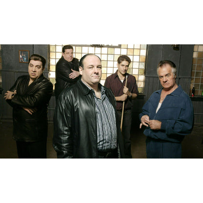 The Sopranos: The Complete Series [30 - Disc DVD Collection]£¨Crime Drama, TV Series, Compatible with All Region DVD Players£©