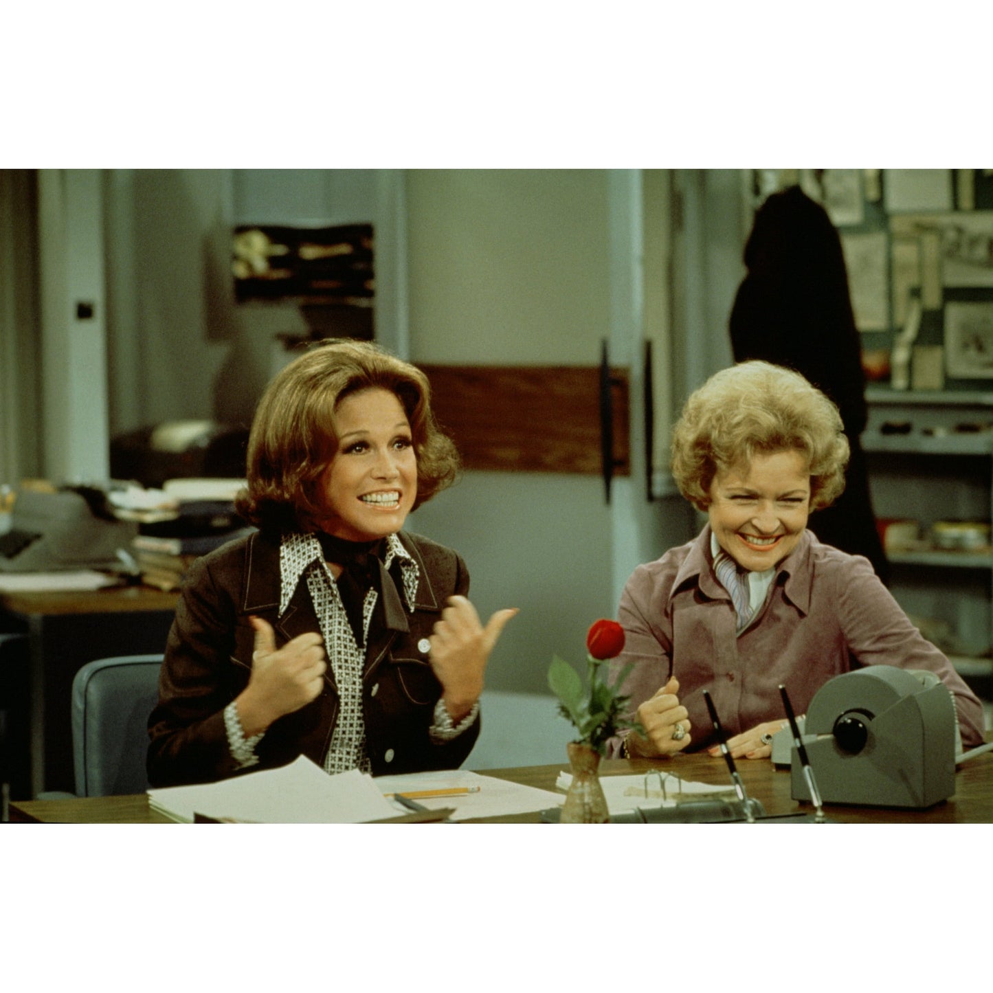 The Mary Tyler Moore Show Season 1-7 [DVD][22 Discs] (Comedy, Sitcom, Drama, American, Compatible with All DVD Players)