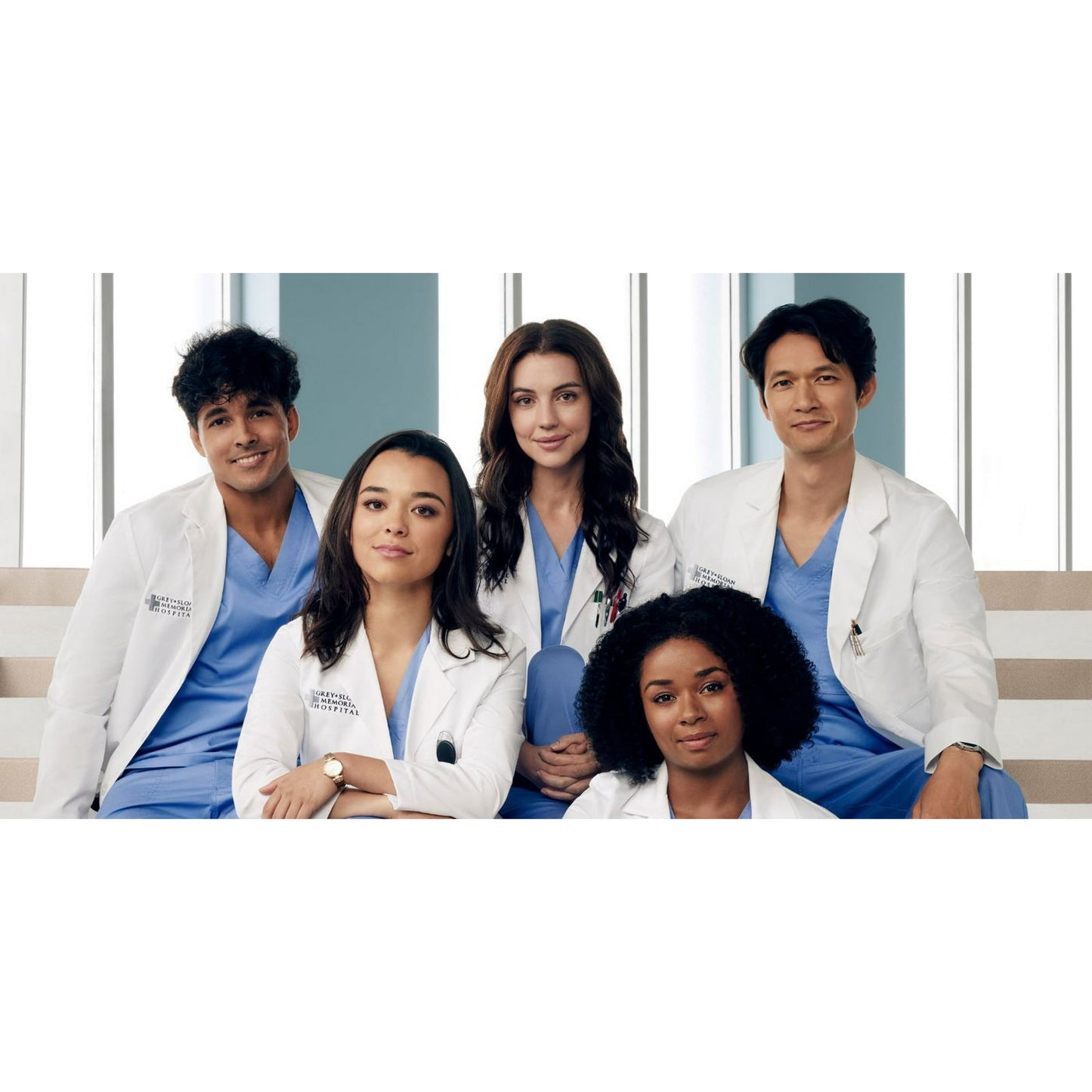 Grey's Anatomy: Season 20 [3-Disc DVD Collection] (Medical Drama, Romance, Drama, Compatible with All Region DVD Players)