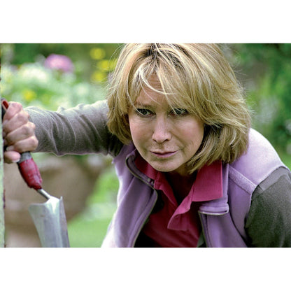 Rosemary & Thyme: Complete Collection (DVD)