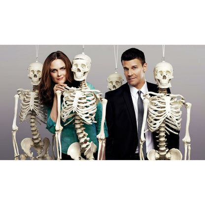 Bones: The Complete Series [DVD][67 Discs, Crime Drama]