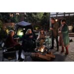 Last Man Standing Season 1-9 [DVD][27-Discs] (Comedy, Compatible with all DVD players)