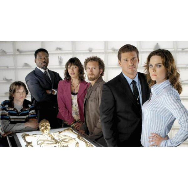 Bones: The Complete Series [DVD][67 Discs, Crime Drama]