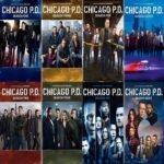 CHICAGO PD: The Complete Series (DVD)