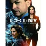 CSI:NY THE COMPLETE SERIES£¬Television/Crime