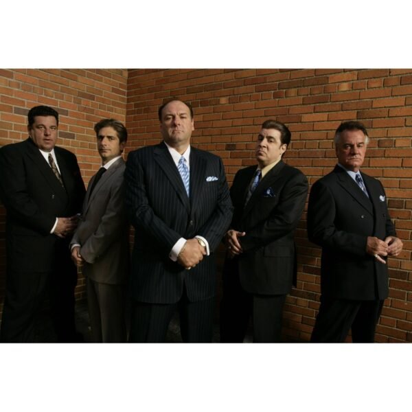 The Sopranos: The Complete Series [30 - Disc DVD Collection]£¨Crime Drama, TV Series, Compatible with All Region DVD Players£©