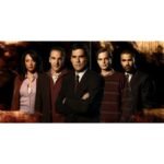 Criminal Minds the Complete series [DVD][85 Discs] (Crime Drama, Psychological Thriller, All-Region DVD Compatible)