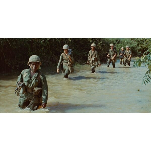 THE VIETNAM WAR [DVD][10-Discs] (Documentary/History, Compatible with all DVD players)